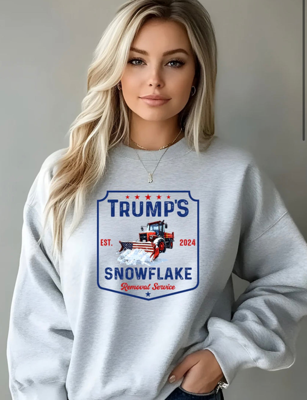 Snowflake Removal Service